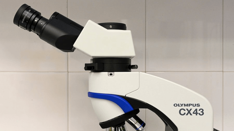 microscopio bilógico