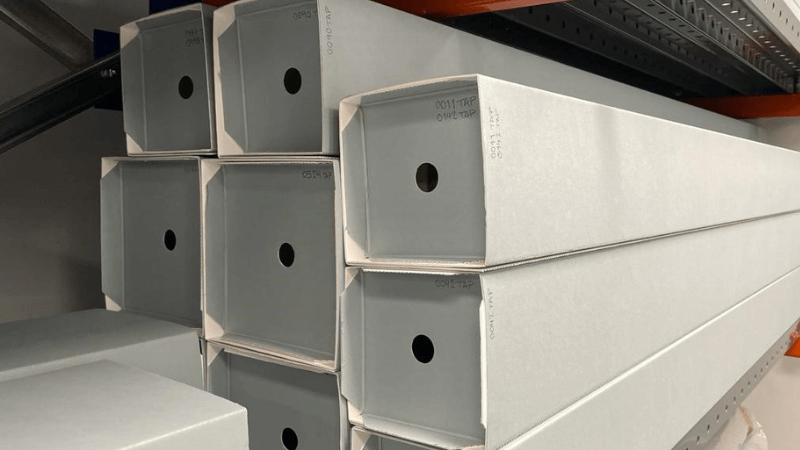 campaña de conservación preventiva